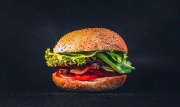 汉堡店外卖爆料案例视频,视频揭露惊人内幕，食品安全引关注